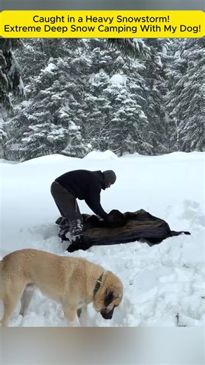 Extreme Deep Snow Camping with My Dog in a Snowstorm
