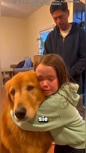 Der Hund, der nach Hause kam 🐶🏠❤️ #shorts