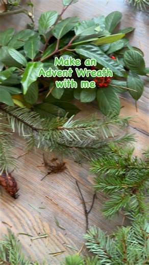 Rebecca Bishop | Homeschool & Wellness Coach on Instagram: "Come along and make an Advent wreath with me! Using real greens, a simple ring, and four candles, I’ll walk you step-by-step through creating a meaningful centerpiece for the season. And if real greenery isn’t your thing, no worries. A faux wreath and any set of candles work beautifully too. It’s the heart behind it that matters. Want to make Advent unforgettable this year? Grab our Advent Study: Come and See What God Has Done and walk 