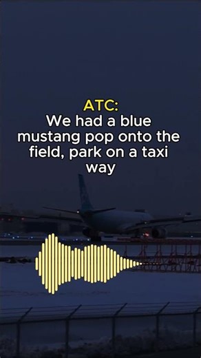 ATC has NO idea what to do when a drunk driver crashed onto the runway #Shorts #Aviation #atc