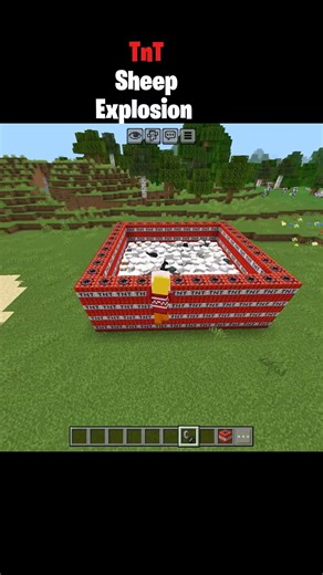 Minecraft Tnt sheep explosion