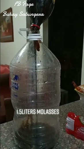 How to make a homemade Probiotics #diy #probiotics #probiotic #homemade #chicken #buhaysabungera