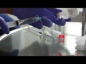 Hyalase demonstrating reconstitution