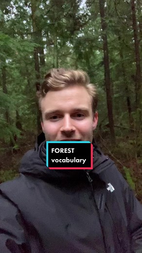 Learn FOREST vocabulary in English! 🌲 Branches, trunk, bark, roots, tree stump, and fern… how many of these words did you know? 🤔 let me know! #f#fluentenglishl#learnenglishonlinei#inglésentiktokу#учитьанглийский学#学英语अ#अंग्रेजीसीखियेi#ingilizceöğrena#aprenderinglêsت#تعلمالإنجليزيةв#вчитианглійськуi#imparareinglesea#angielskiegoμ#μαθαίνωαγγλικάa#anglaisenglishvocabulary #nativeenglishteacher