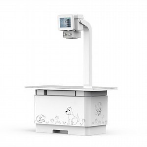 [Hot Item] 20kw 32kw Digital Vet Dr X-ray Table Small Animal Xray Fluoroscopy Equipment Fixed Veterinary Dog X Ray Machine