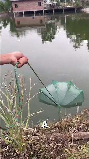 Amazing Umbrella Fish Trap – Catching Crawfish & Fish in Minutes! 🎣