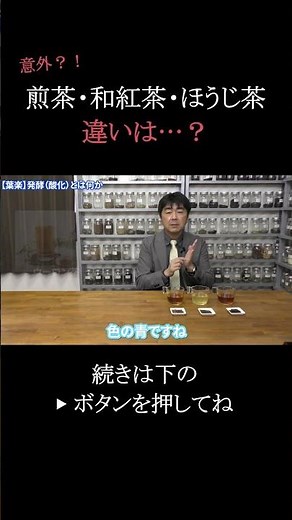 [Surprisingly unknown] A professional explains the differences between Japanese black tea, sencha...