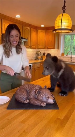 Owl Goes Wild Bird Thinks Woman Is Hurting a Real Owl Cake!