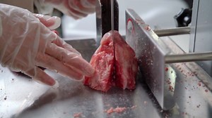 Amazon.com: Electric Meat Saw Commercial Meat Saw For Butchering At Home 1500W,Bone Saw for Butchering,110V Butcher Saw For Meat, Meat Bandsaw with 2 Saw Blades,0.39-7 Cutting Thickness Meat Cutting Machine : Home & Kitchen