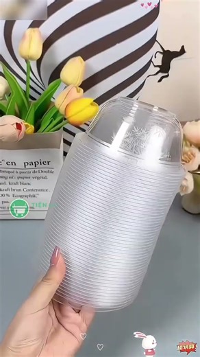 Bát dùng 1 lần: AQT-QZS-EAU