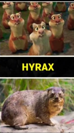 #animals ice age characters in real life