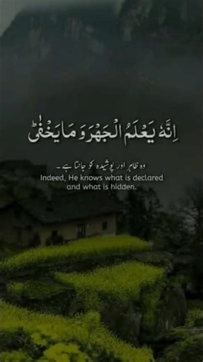 surah Aala #quran #duet #tilawatvoiceintheworld #bayan @shamsahDILSE# #love #nazmakhatoon5685