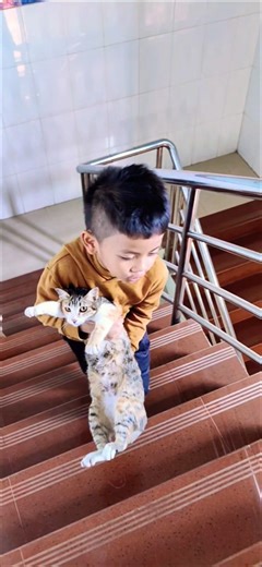 Boys bring cat walking on the staircase #shortvideo #cat #kidsvideo