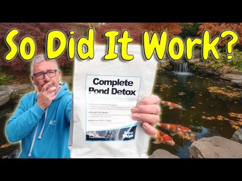 KOI POND **I Tested ‘COMPLETE POND DETOX’ for a Full Koi Pond Season — Here’s What Happened…”**