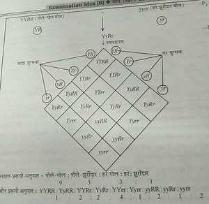 The image shows a Punnett square for a dihybrid cross. It inclu... | Filo