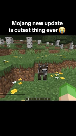 Minecraft Baby Mobs #minecraft #shorts #adorable