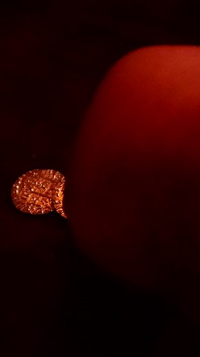 Rare Witcher Sightings at the Inn