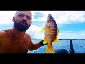 SPEARFISHING SNAPPER CATCH N COOK! | Step-By-Step Pan-Fried Snapper Recipe!