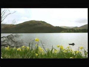 William Wordsworth - 'Daffodils' (Cumbria - England) - BBC - 12th April 2016