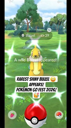 Rare Shiny Buizel appears during Pokémon Go. Fest 2026! 🥳✌️ #pokemongo