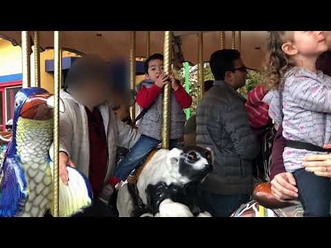 Happy Hollow Park & Zoo - Keep-Around Carousel Ride | Toddlers Learning Resources | Kids Fun Video