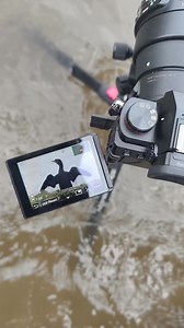 "Capturing nature up close 📸 | Sigma 150-600mm Panasonic setup in action!" #WildlifePhotography #Sigma150600mm #PanasonicLumix #NatureClick #BirdPhotography #BehindTheScenes #PhotographyLife #NatureLove #TelephotoLens #CameraSetup | SK.Photography 2.O