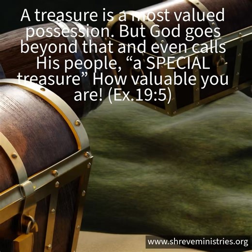 Mike Shreve on Reels