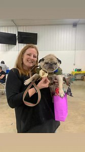2025 March in the Pugs Photos!!! Thanks to everyone for attending!!! What a great event!!! 🥰 🫶 | Kentuckiana Pug Rescue -KPR