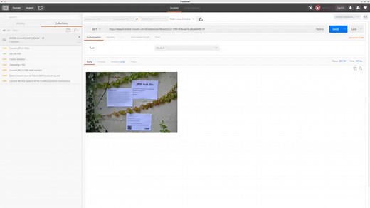 Tutorial #2: Upload, options and batch convert using the API of online-convert.com