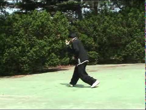 Xingyiquan (Xingyi Quan, Hsing I Chuan, Hsing Yi Chuan) Form and Applications 形意拳套路及應用