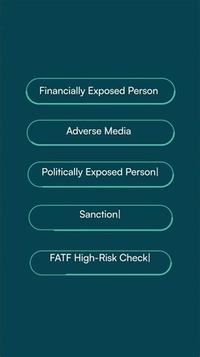 One search. Multiple AML checks.