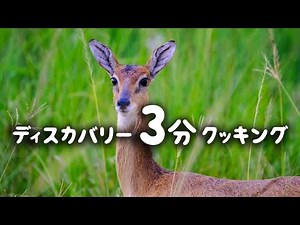 ディスカバリー3分クッキング | シカの丸焼き (ディスカバリーチャンネル)