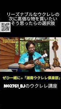 No.2761_If you want to buy the next most expensive ukulele after a reasonably priced one, here ar...