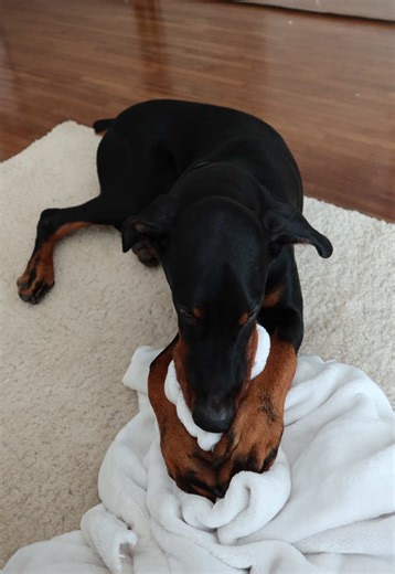 best friend