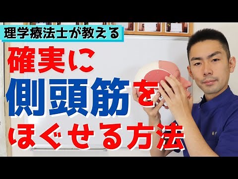 理学療法士が教える確実に側頭筋をほぐせる方法【フェイスラインすっきり、頭痛にも効く】