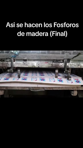 Fabricación de Fosforos de Madera: Proceso Completo