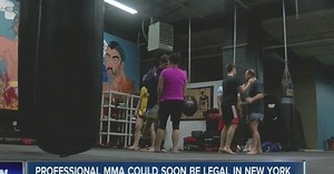 MMA could soon be legal in New York