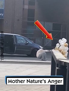 17K views · 185 reactions | Mother Nature's Anger | Torrie Wilson | Facebook