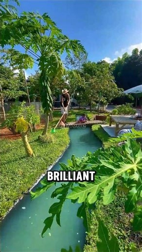 He Turned His Backyard Into a Mini Ecosystem With Almost No Money