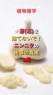 ニンニクの芽は毒ではありません。知られざる「ニンニクの真実3選」 #モエチャン #野菜は植物 #雑学