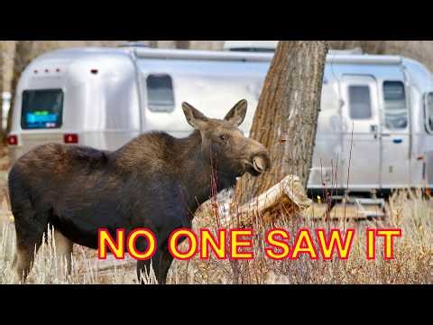 Sometimes God Puts You in the Right Place at the Right Time