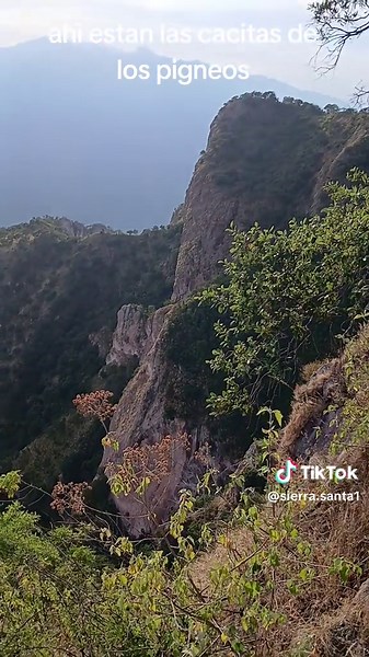 #🌲🌲🌲👌 #durango #otaez #sierra | pigeons nest