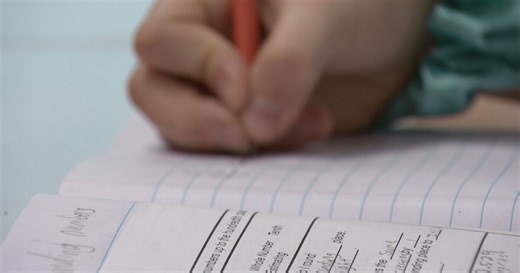 Upset with your child's TCAP score? You can now appeal the result