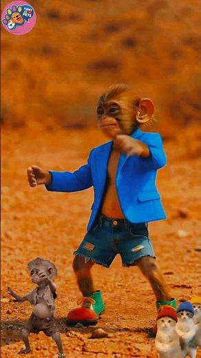 Funny Dancing Monkey and Cats 🐒🐱 Funniest Animal Dance Compilation