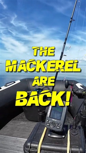 Mackerel Season is Officially Here! (North Berwick) #boatfishing #fishing #mackerelfishing