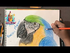 How to Draw a REALISTIC Macow Parrot! Amazing Bird Drawing by 11 Year Old 🦜✨