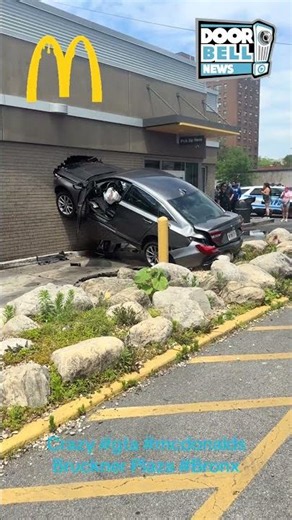 Meanwhile in The Bronx...