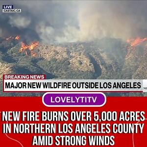 50K views · 179 reactions | A brush fire erupted amid powerful winds...