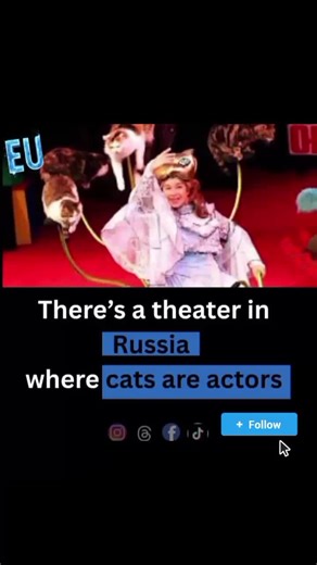 Did you Know? Moscow Cats Theatre: Magic or Cruelty? The Only Cat Circus? While they claim to be unique, this feline troupe stuns audiences with cats walking tightropes, balancing on balls, and even dressing up! Founded in 1990 by Russian clown Yuri Kuklachev, the show tours globally—from the U.S. to Israel. Dark Whispers: Critics accuse the theatre of animal cruelty—alleging harsh training & poor living conditions. Though Kuklachev won defamation lawsuits, doubts linger about government ties sh