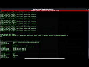 THM - STEGANOGRAPHY - Task5 Stegoveritas